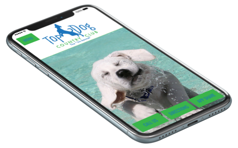 Top Dog app shown on a phone