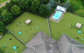 An areal photo of dog kennels with larger grassy areas and a swimming pool