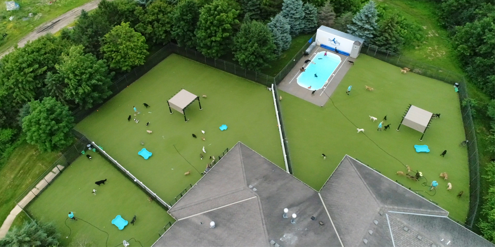 An areal photo of dog kennels with larger grassy areas and a swimming pool